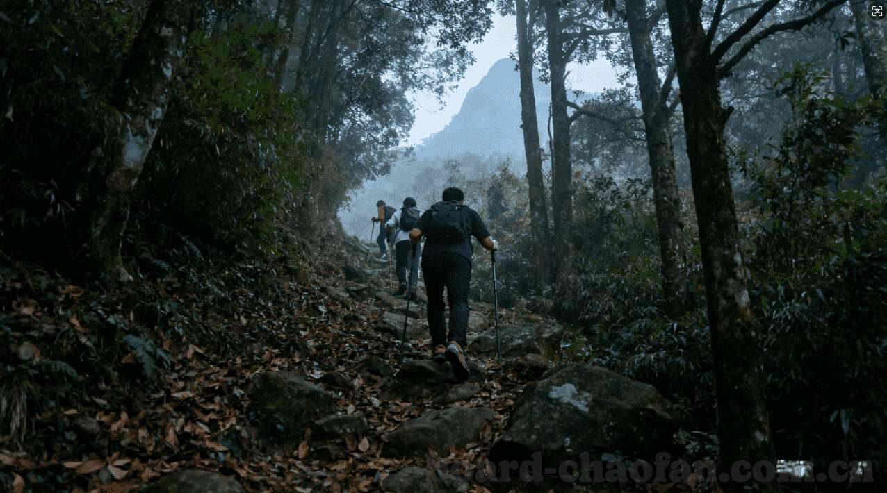 德州扑克 边锋-德州扑克，边锋策略与技巧的深度探索
